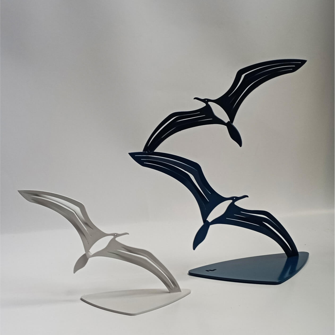 Gaviotas de Mesa Blanca, Azul y Negra