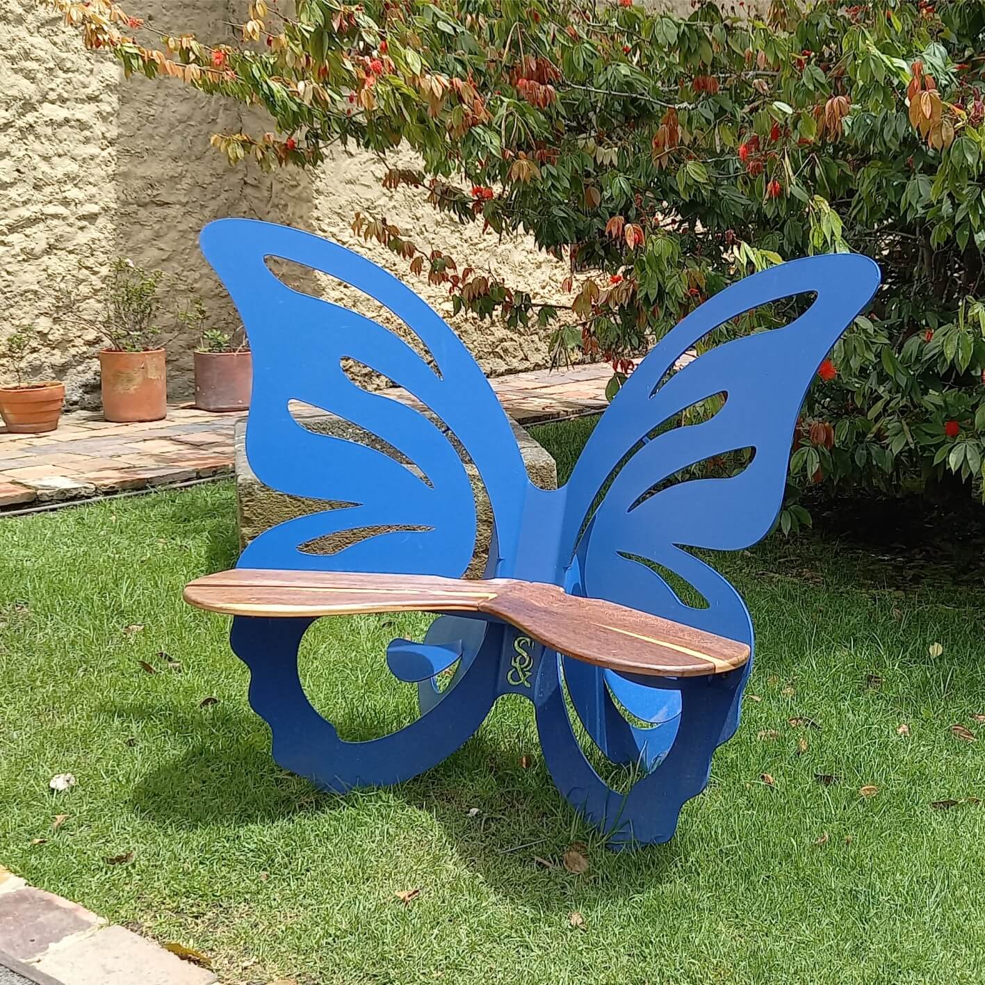 Mariposa Azul