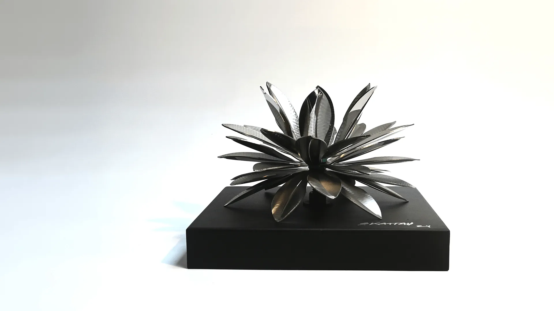 Frailejón en Acero Crudo