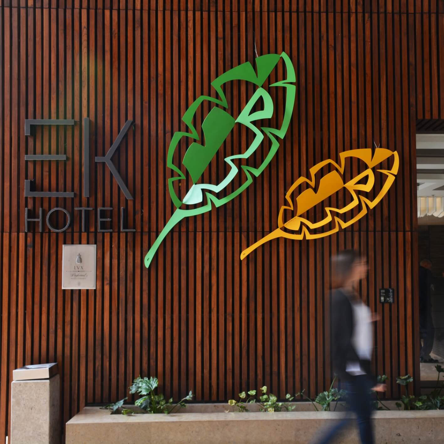 Plataneras Verde y Amarilla