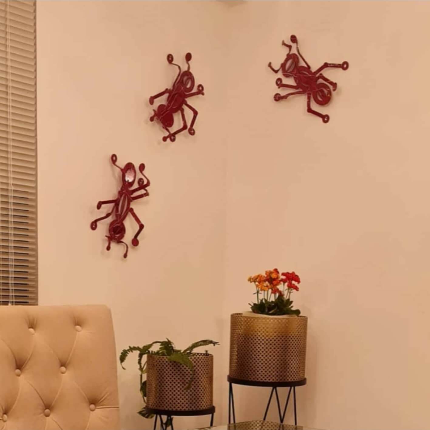 Hormigas Rojas con Salpicaduras