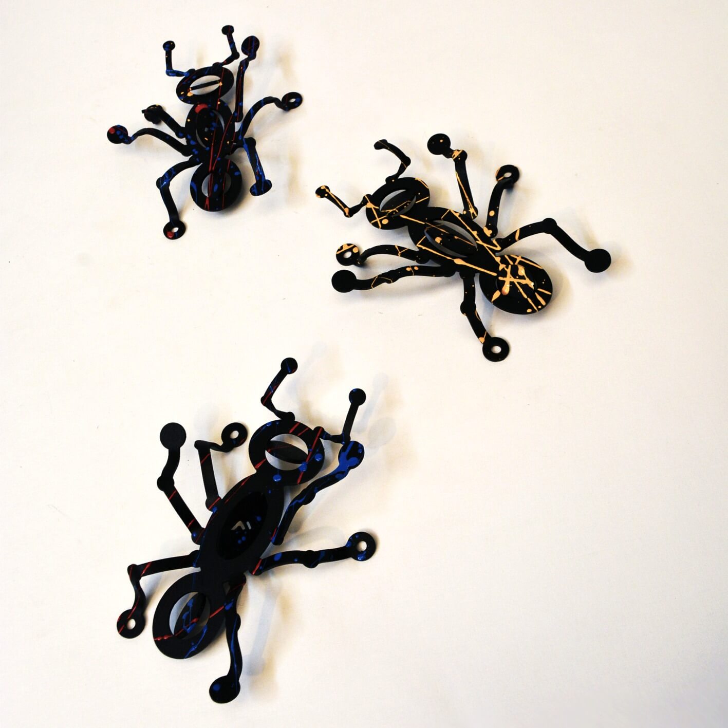 Hormigas Negras con Salpicaduras