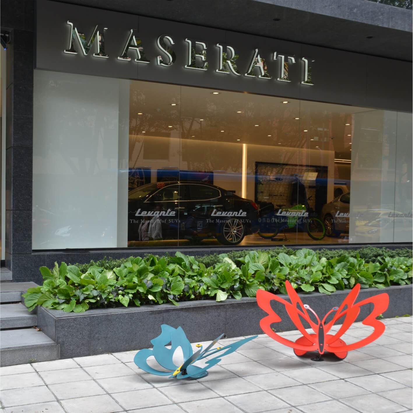 Mariposas Grandes Azul y Roja