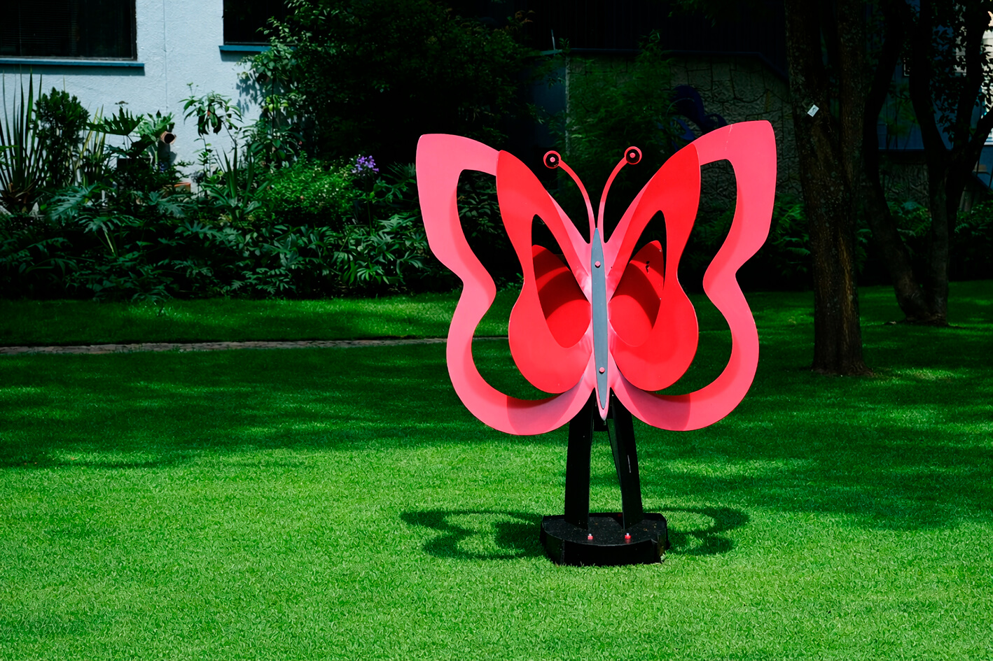 Mariposa Grande Roja en el Parque