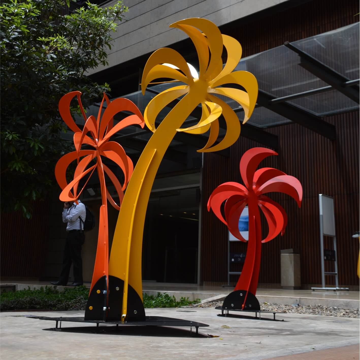 Palmas Naranja, Amarilla y Roja