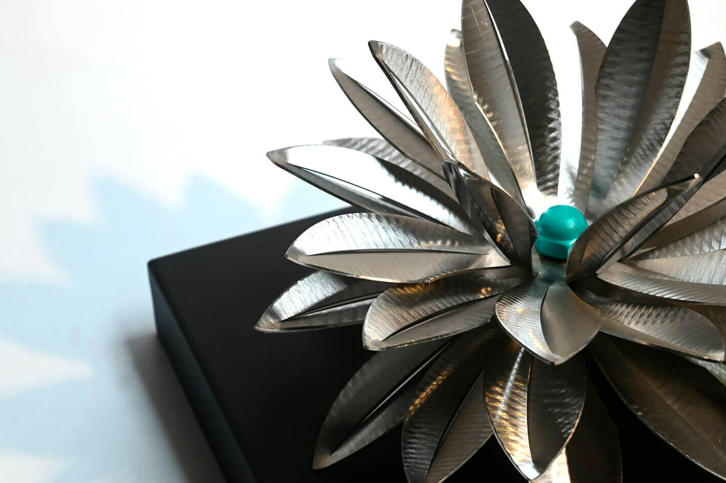 Frailejón en Acero Crudo