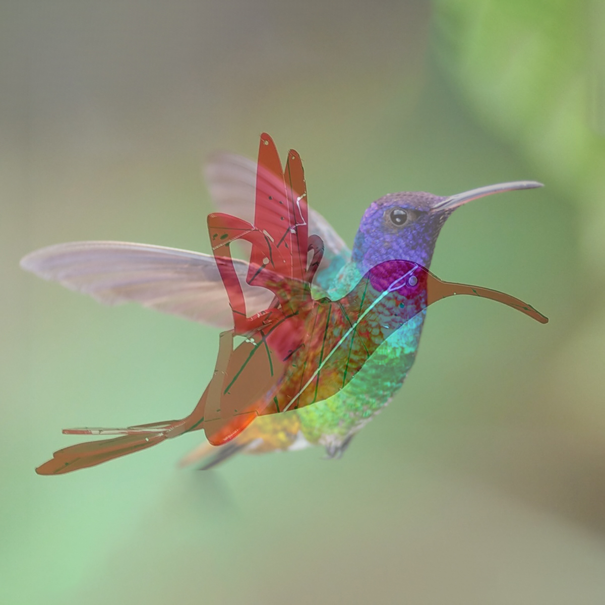 Morfo Studio • Santiago Kattah • Contraposición