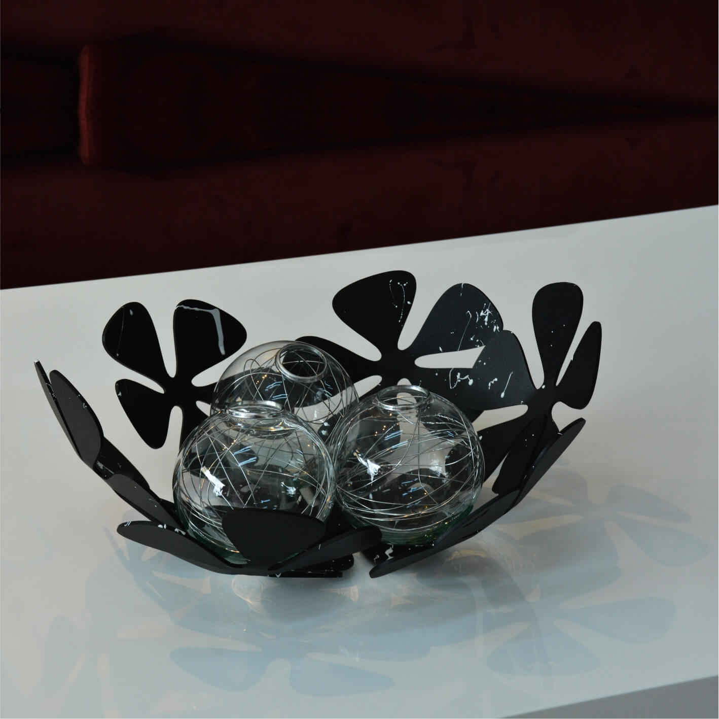 Florida Negro con Salpicaduras Blancas