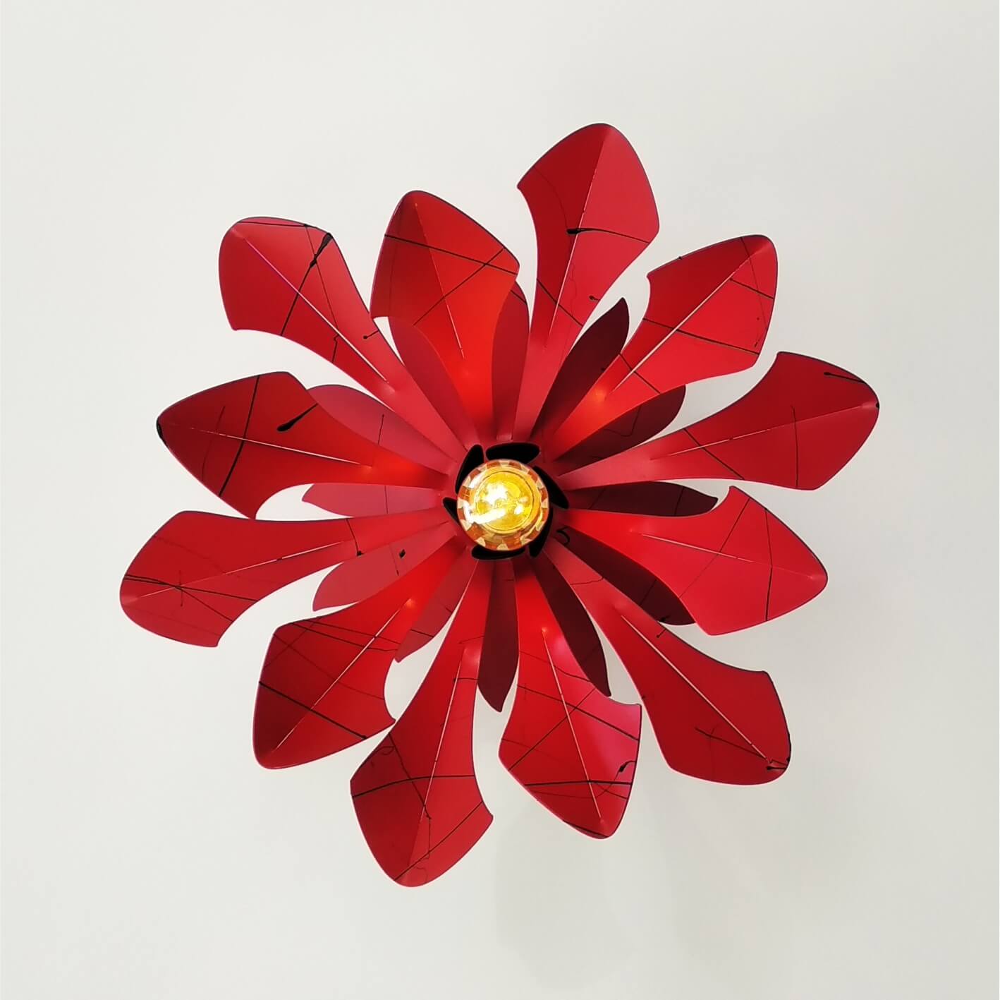 Frailejón Rojo con Salpicaduras Negras