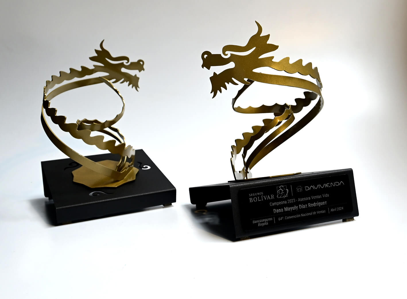 Dragones Seguros Bolívar