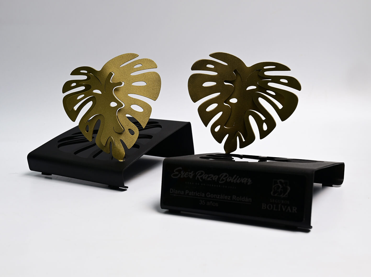 Hojas de Balazo Seguros Bolívar