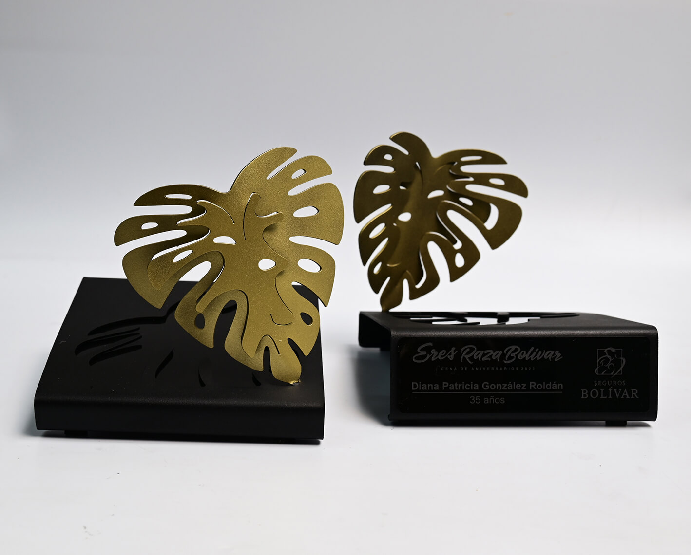 Hojas de Balazo Seguros Bolívar