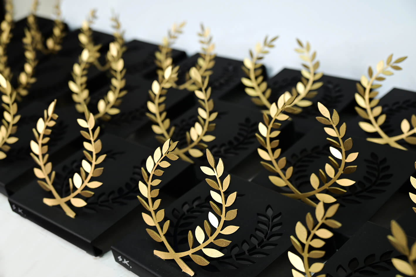 Laureles Seguros Bolívar