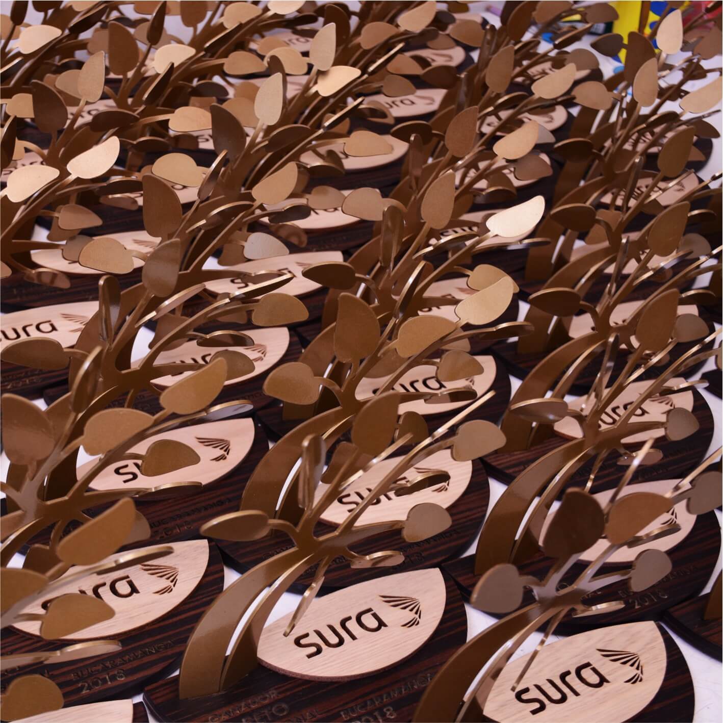 Ceibas Chicas Doradas