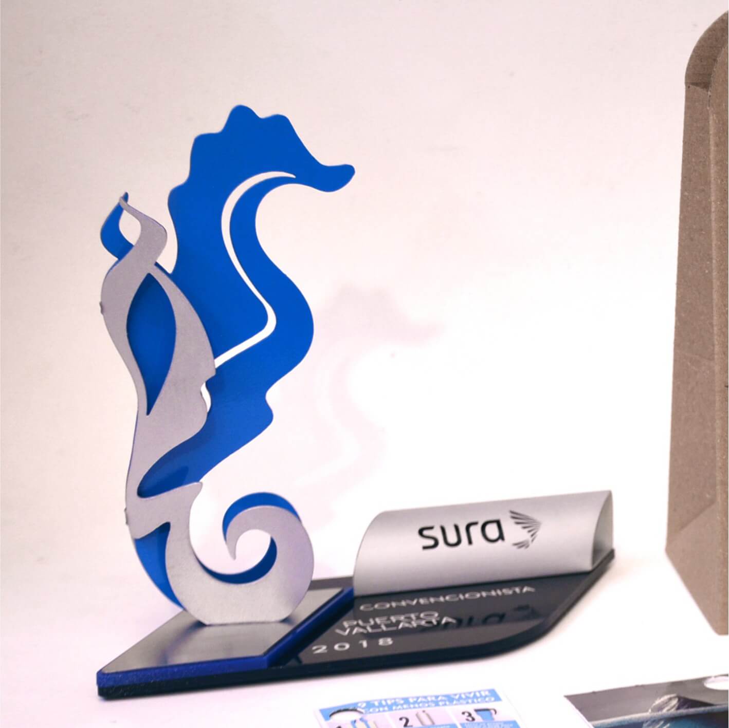 Puerto Vallarta Hipocampo Azul