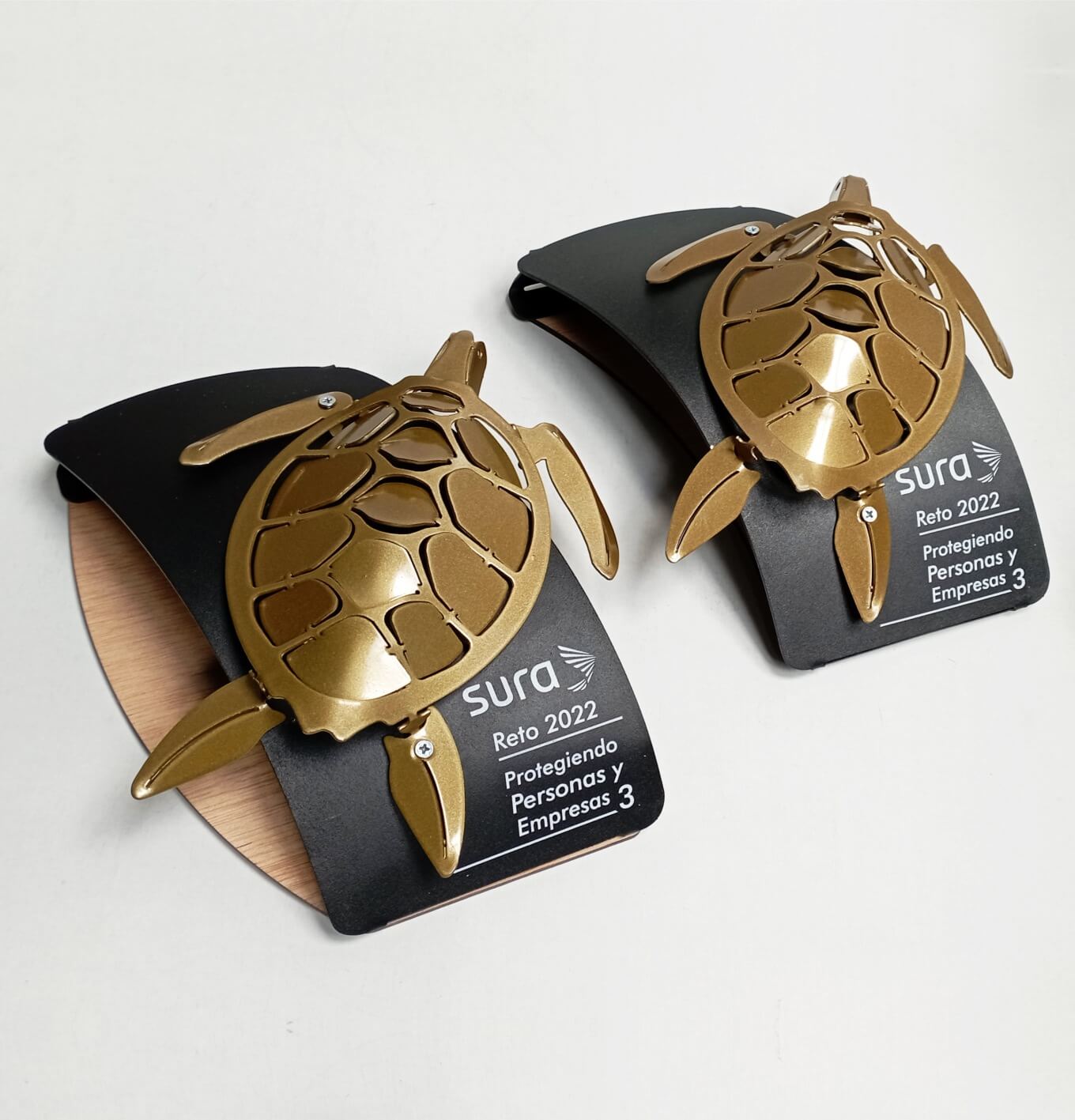 San Andrés Tortugas Doradas