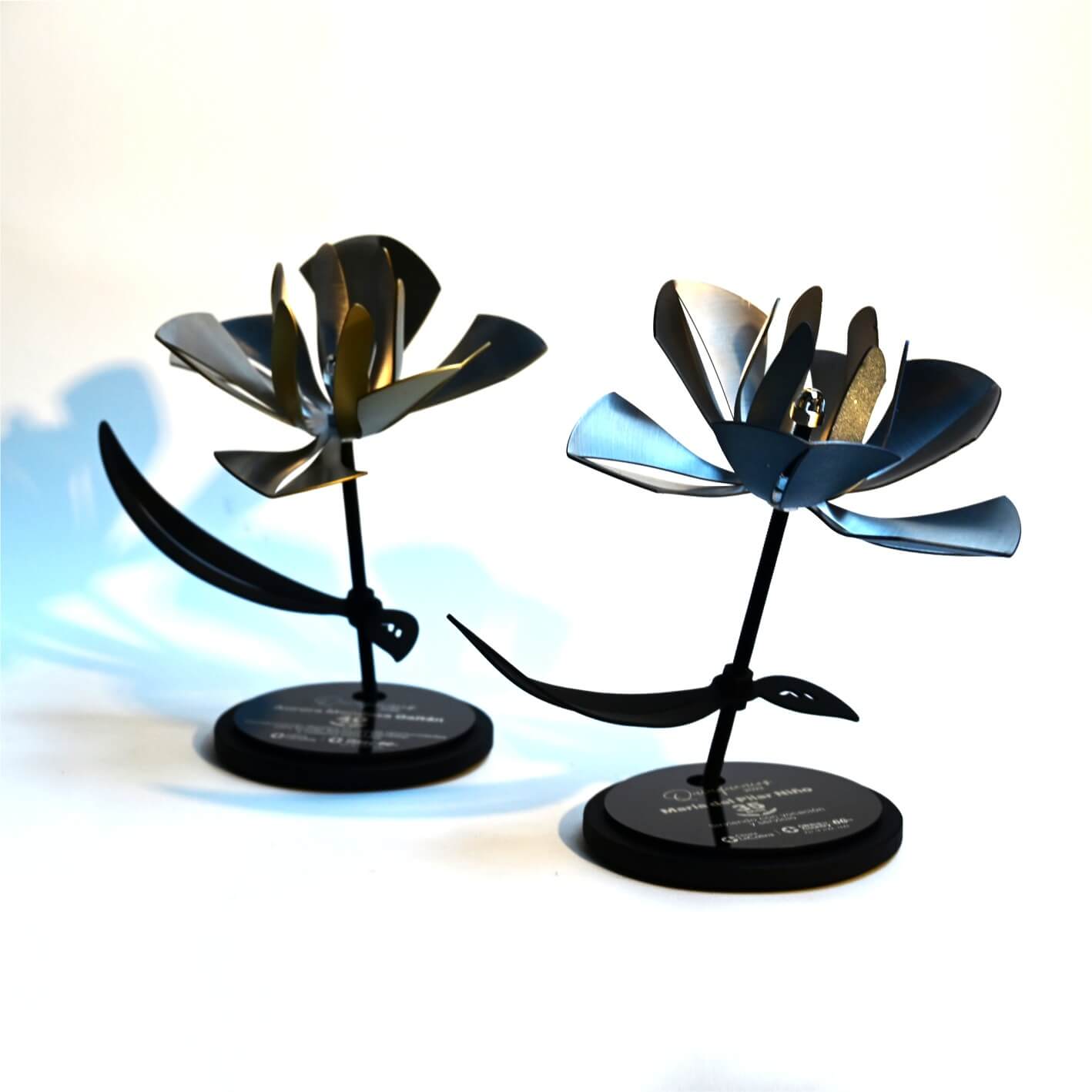 Country Quinquenios Crudo y Dorado