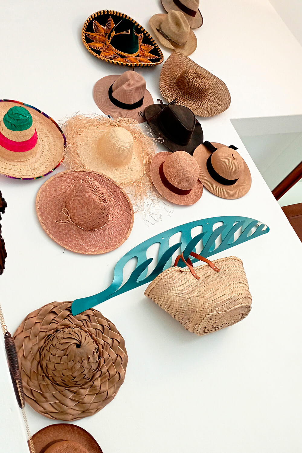 Morfo Studio • Helechos