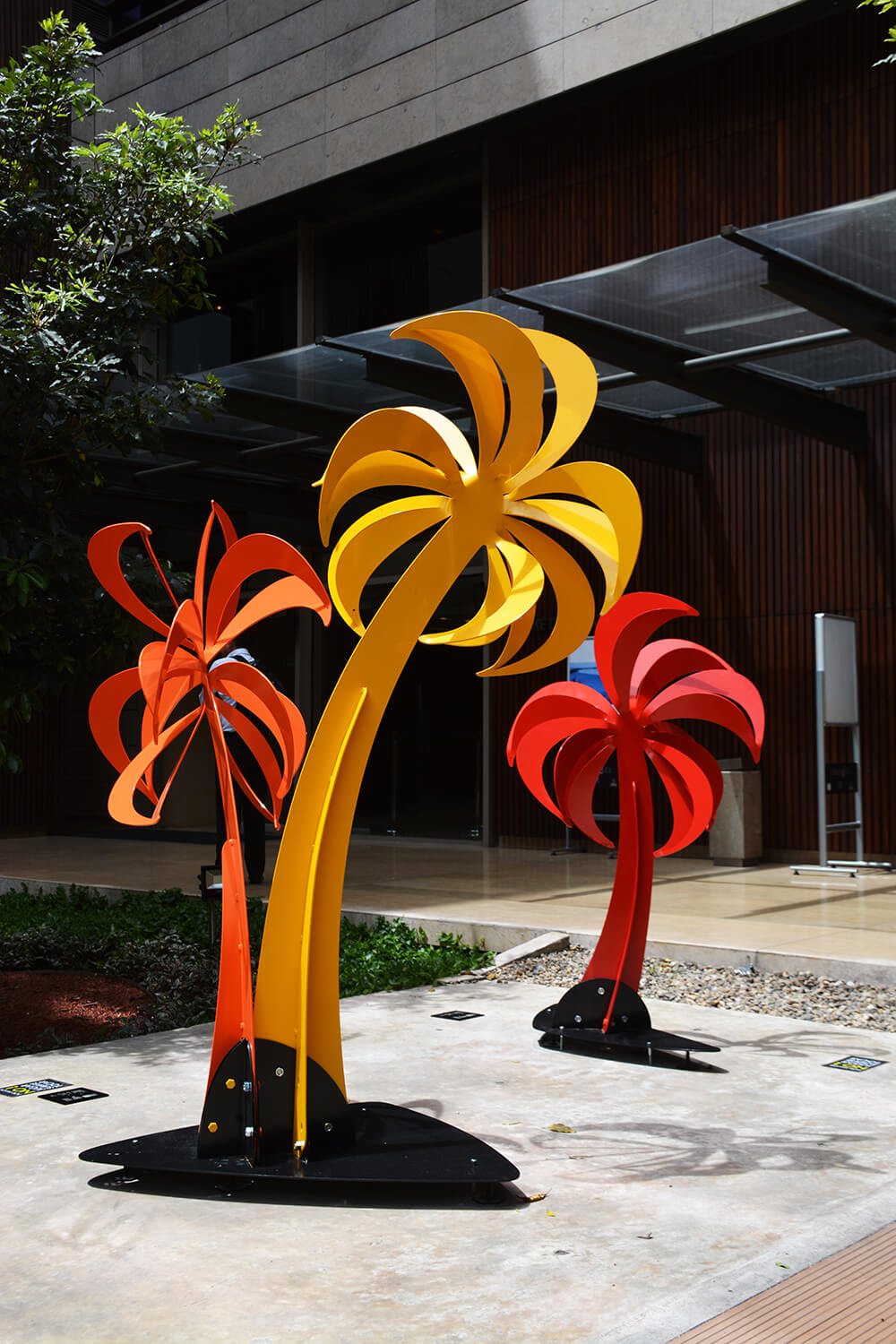 Morfo Studio • Palmeras